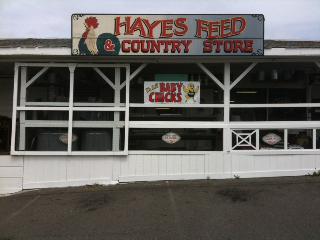 Hayes Feed & Country Store