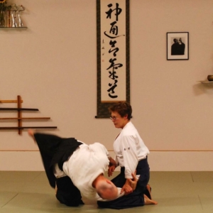 Two Cranes Aikido
