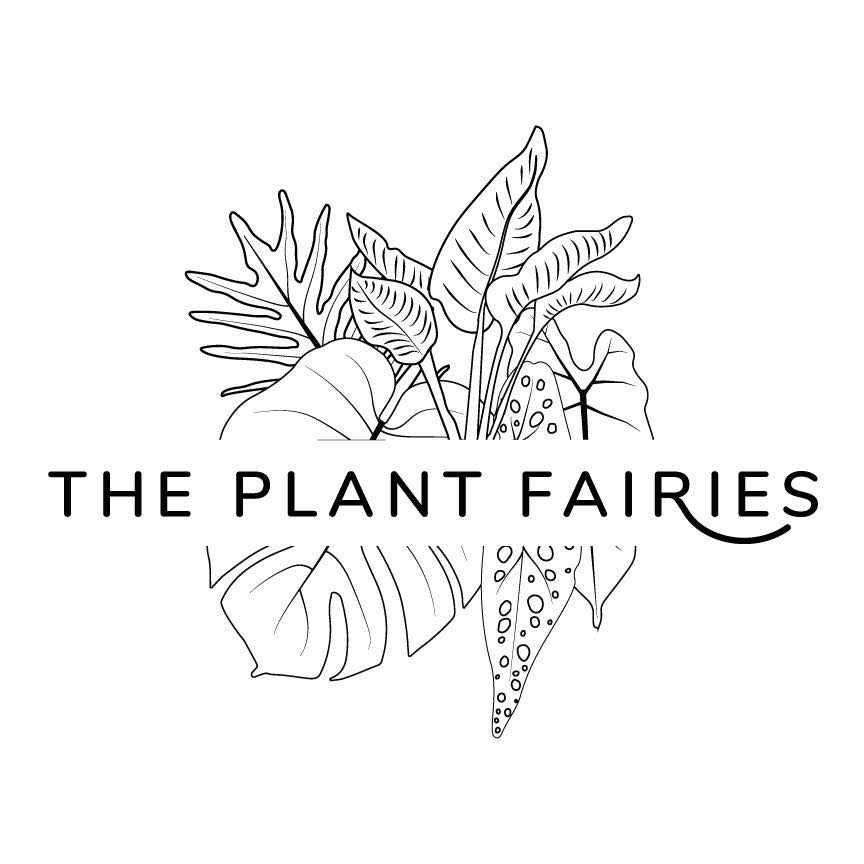 The Plant Fairies