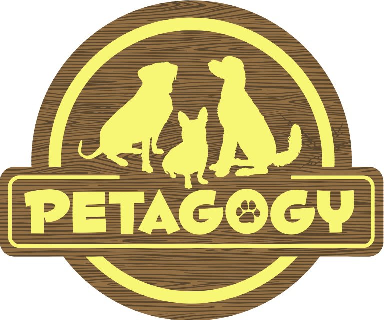 Petagogy