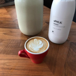 Hazy latte made with raw hazelnut mylk