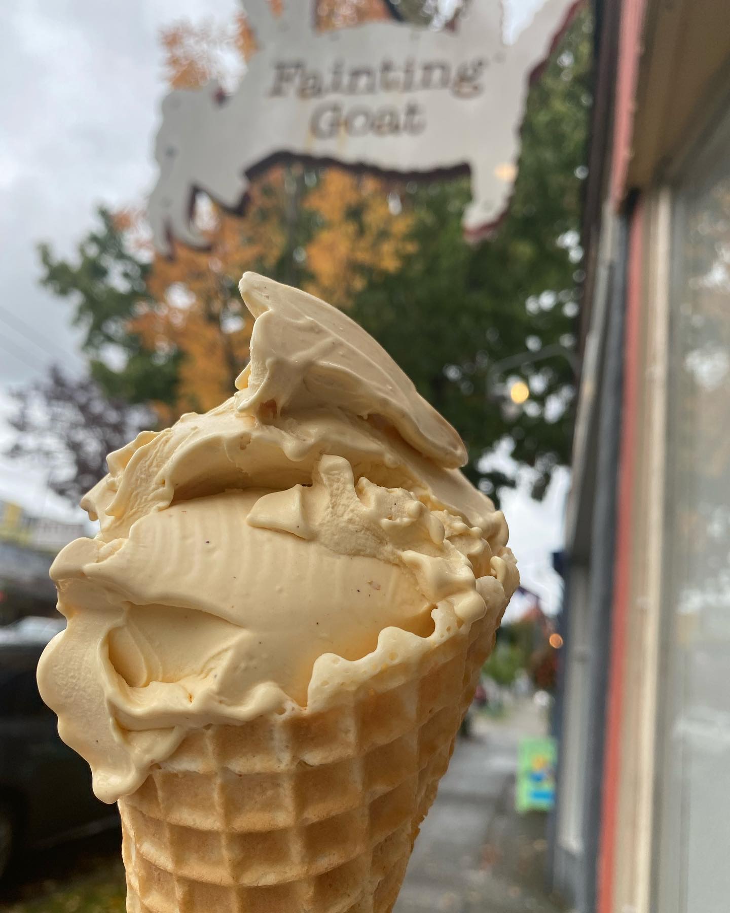 An ice cream cone from Fainting Goat Gelato