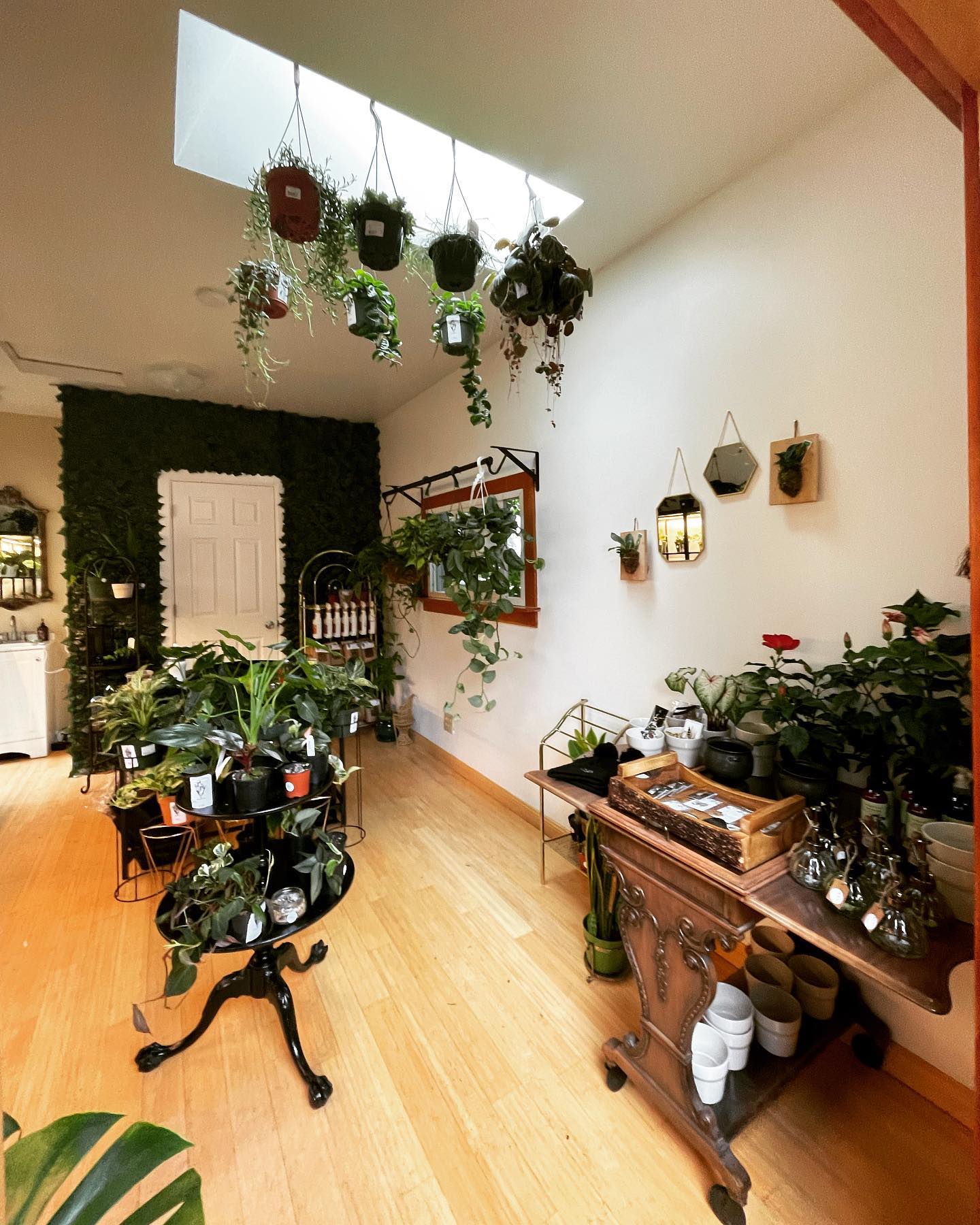 Interior of plant shop