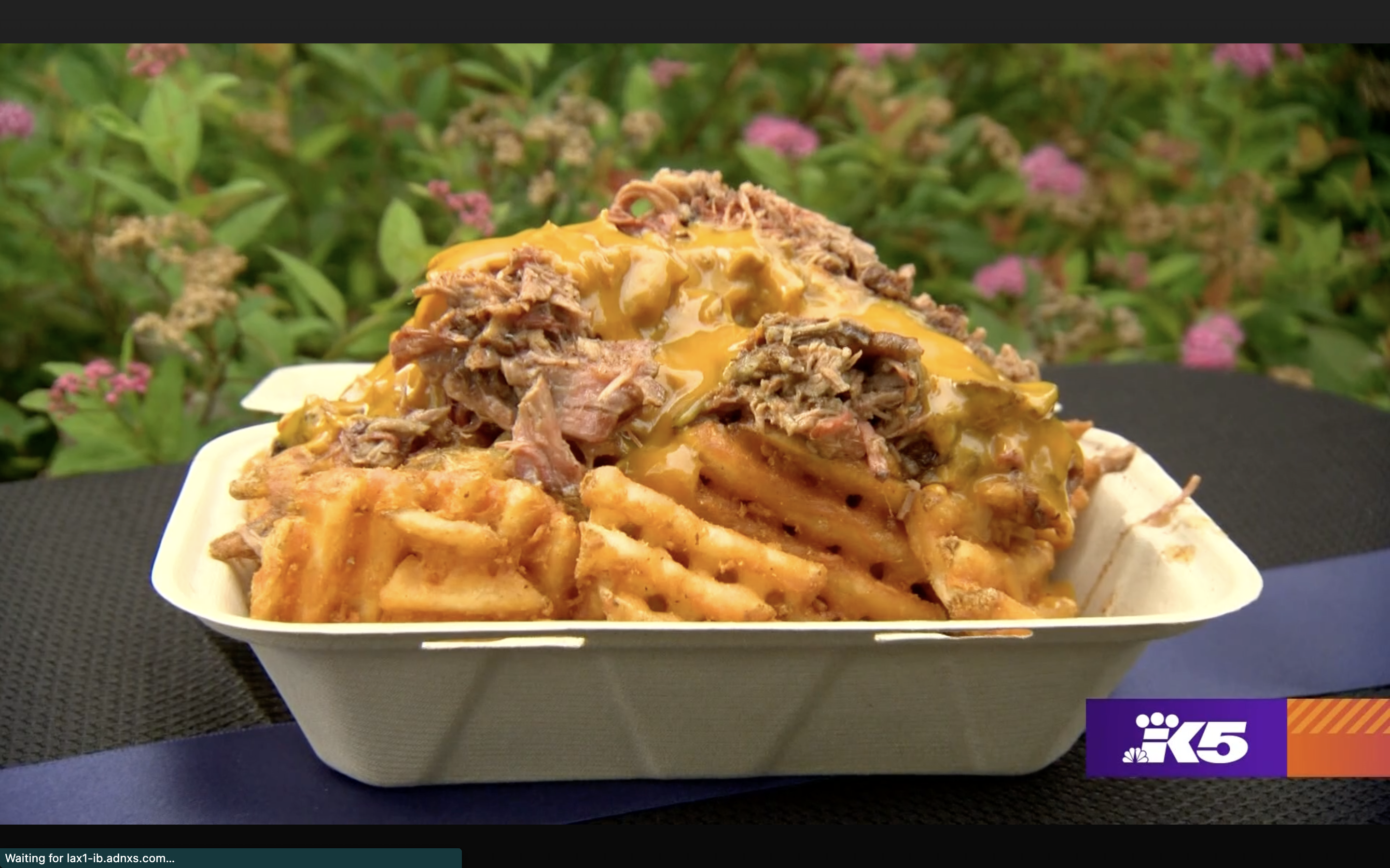 photo of C. Davis Texas BBQ signature dish of waffle fries topped with smoked pulled pork and topped with North Carolina BBQ sauce. Photo Credit King5