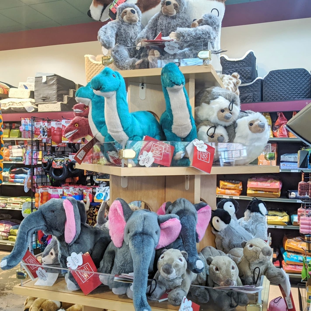 Eastside Dog & Cats Too