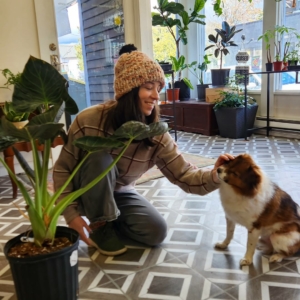 Fancy Plants Seattle - Plant Pup