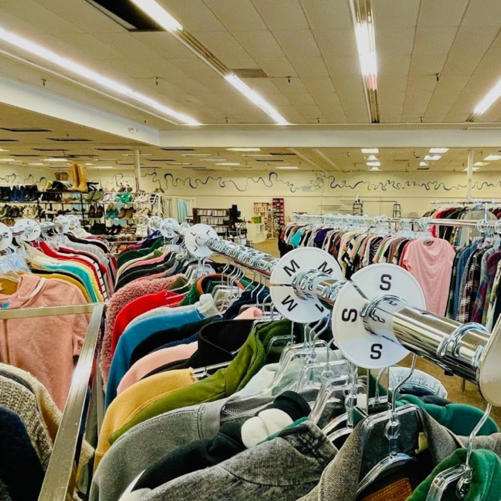 Mapgpie Thift Shoreline - Interior