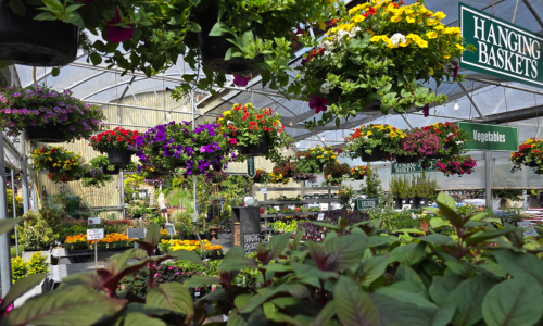 Zenith Holland Nursery & Gifts