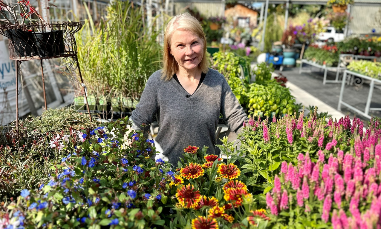 Zenith Holland Nursery & Gifts