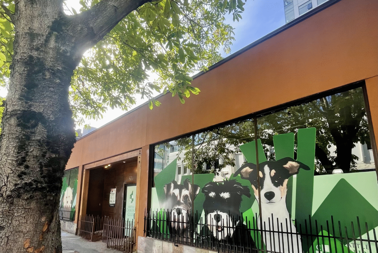 Seattle Canine Club - South Lake Union