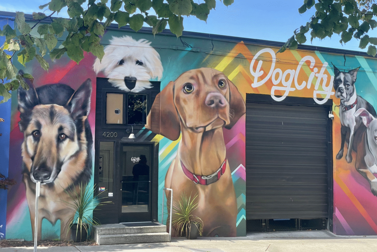 Seattle Canine Club - West Seattle